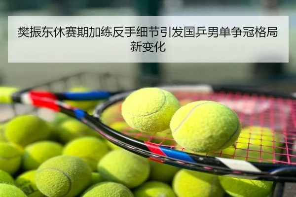 樊振东休赛期加练反手细节引发国乒男单争冠格局新变化