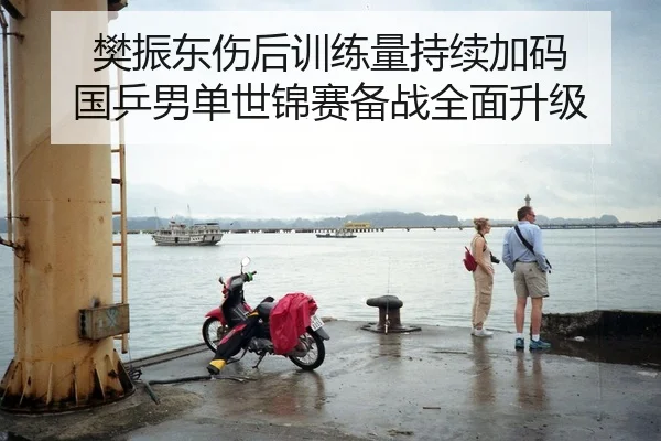 樊振东伤后训练量持续加码 国乒男单世锦赛备战全面升级