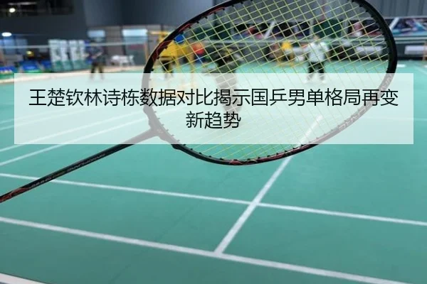 王楚钦林诗栋数据对比揭示国乒男单格局再变新趋势