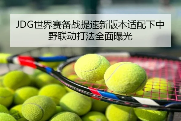 JDG世界赛备战提速新版本适配下中野联动打法全面曝光
