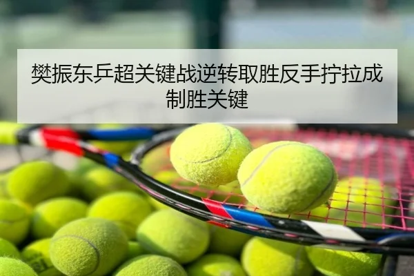 樊振东乒超关键战逆转取胜反手拧拉成制胜关键
